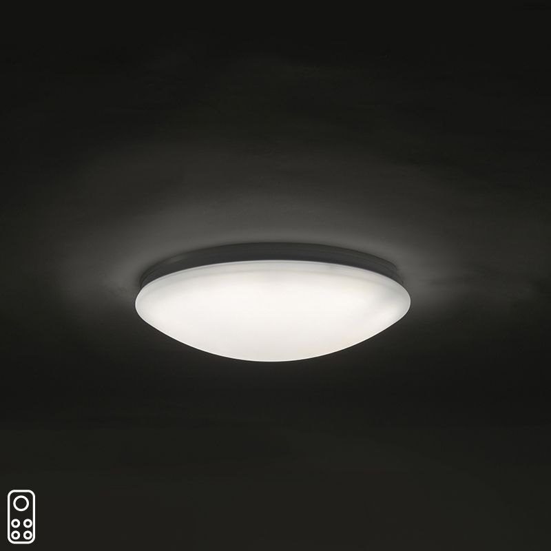 4210_96796_0