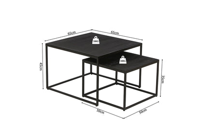 Salontafel 'Quinn' 2-Delig Mango Hout Zwart (1c)