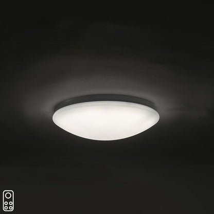 4210_96796_0