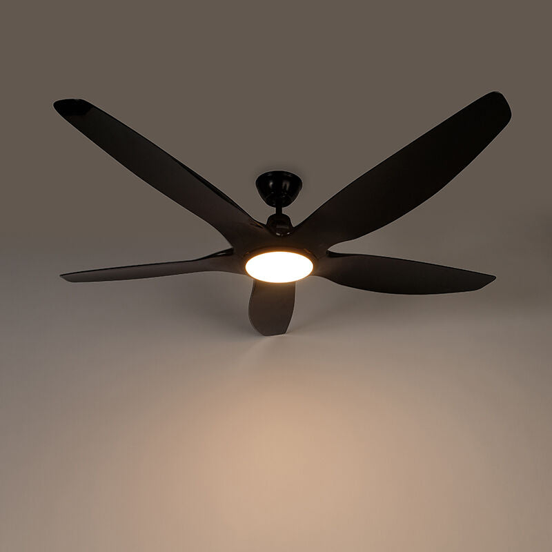 5469_102713_8