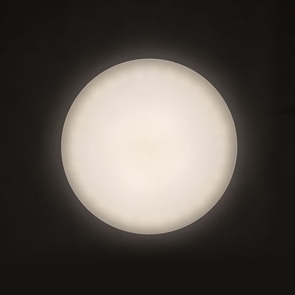 8236_96798_6