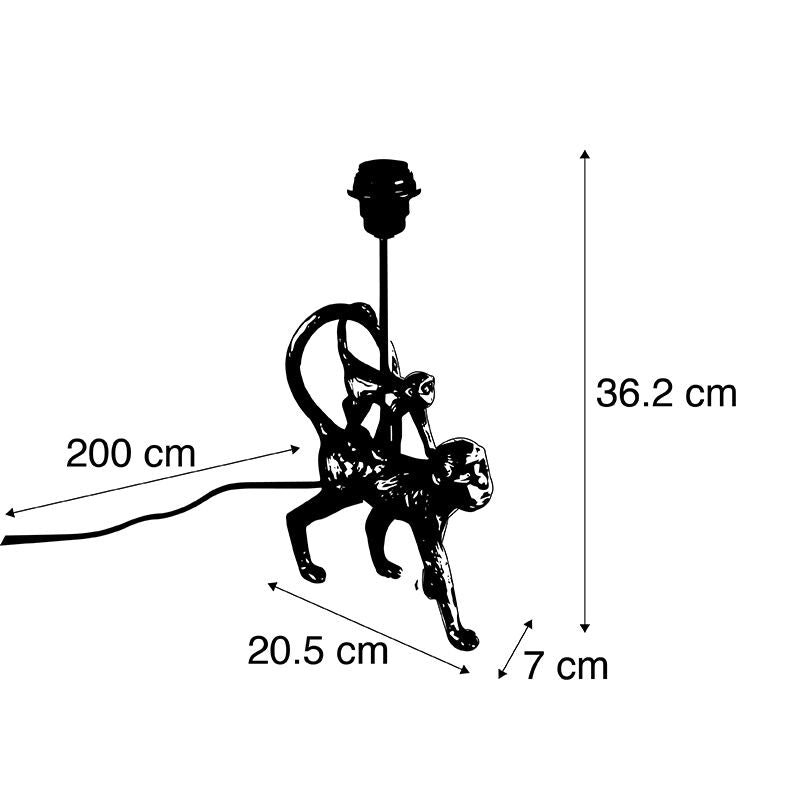 8794_103806_3